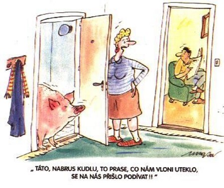 Vtip Nerařazeny