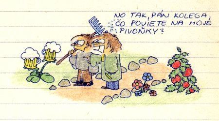Vtip Nerařazeny