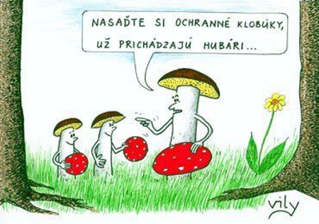 Vtip Nerařazeny