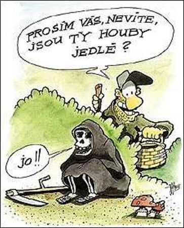 Vtip Nerařazeny