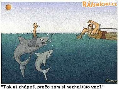 Vtip Nerařazeny