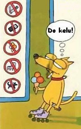 Vtip Nerařazeny