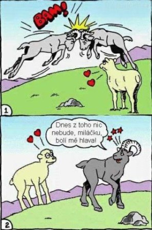 Vtip Nerařazeny