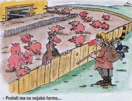Vtip Nerařazeny