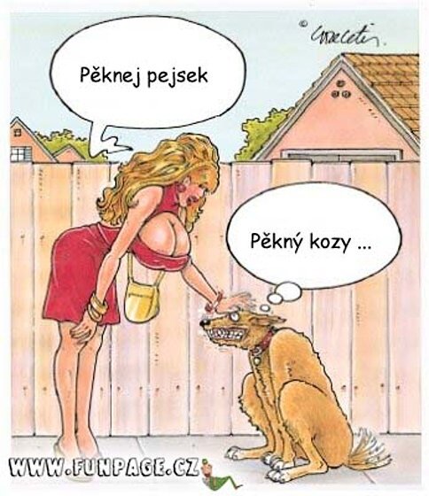 Vtip Nerařazeny