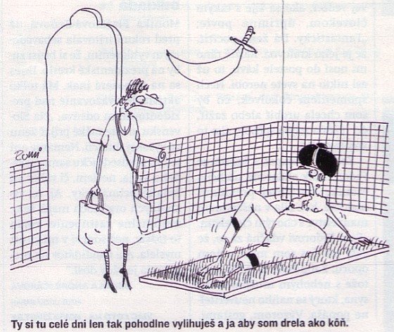 Vtip Nerařazeny