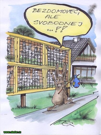 Vtip Nerařazeny