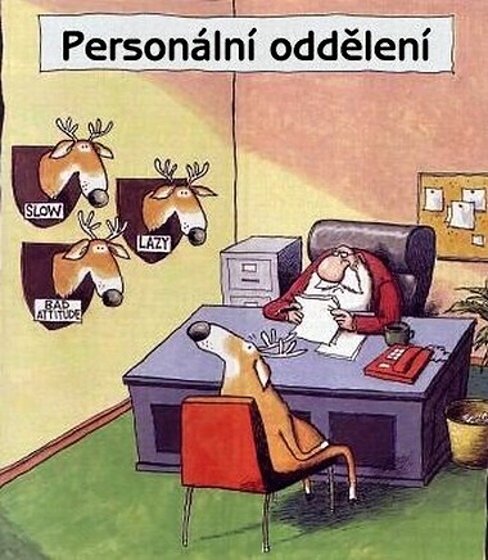 Vtip Nerařazeny