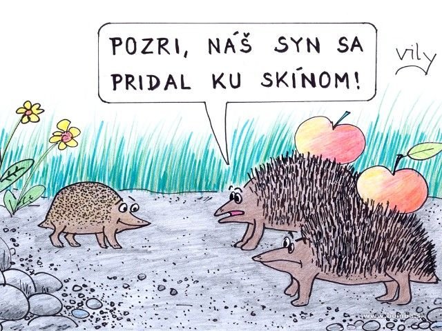Vtip Nerařazeny