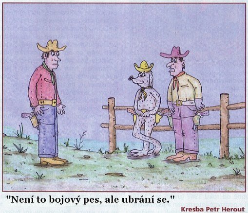 Vtip Nerařazeny