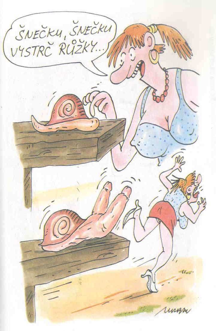 Vtip Nerařazeny