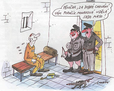 Vtip Nerařazeny