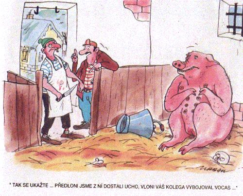 Vtip Nerařazeny