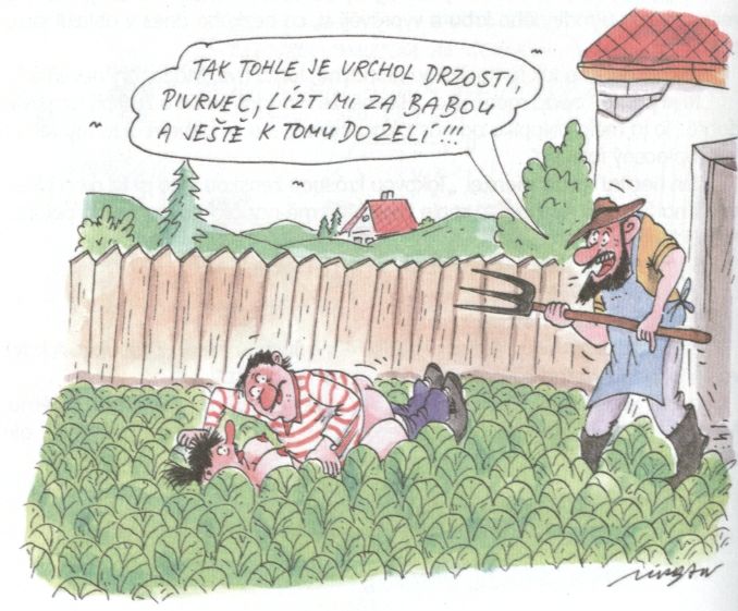 Vtip Nerařazeny
