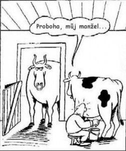 Vtip Nerařazeny