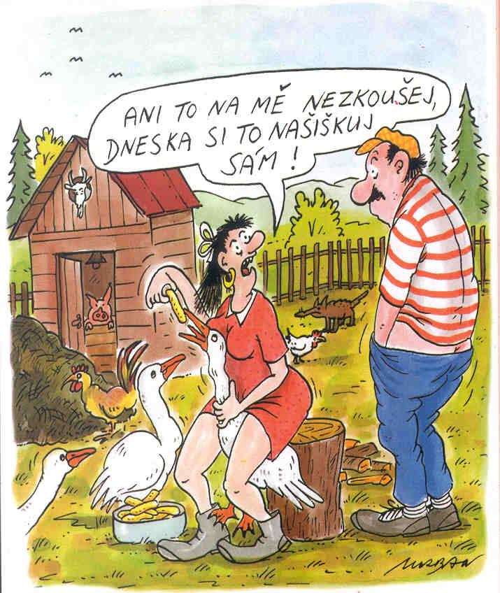 Vtip Nerařazeny