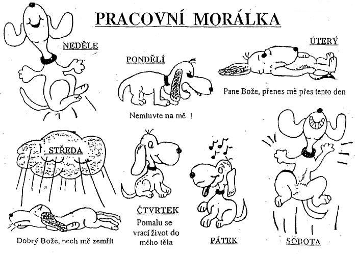 Vtip Nerařazeny
