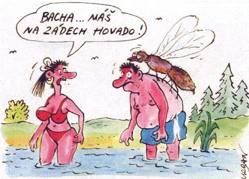 Vtip Nerařazeny