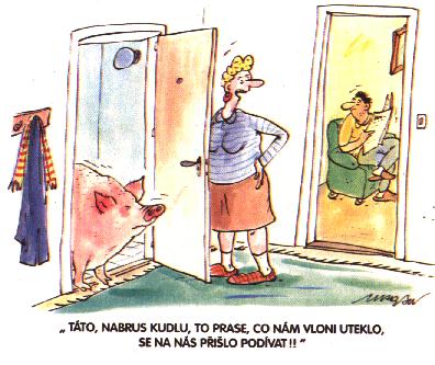 Vtip Nerařazeny