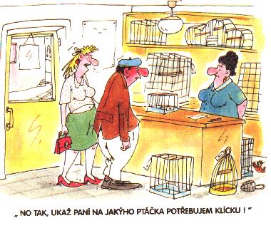 Vtip Nerařazeny