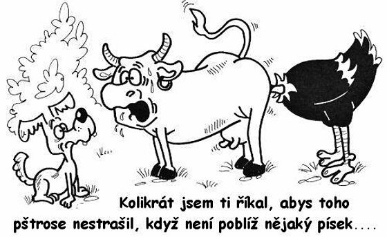 Vtip Nerařazeny