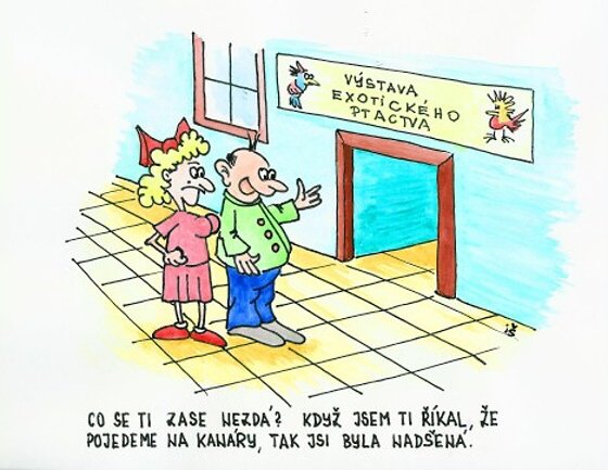 Vtip Nerařazeny