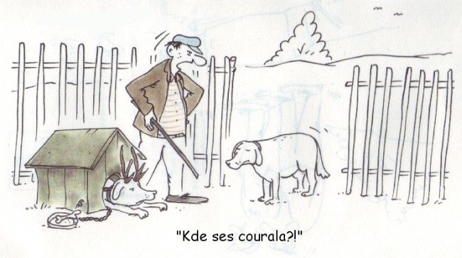 Vtip Nerařazeny