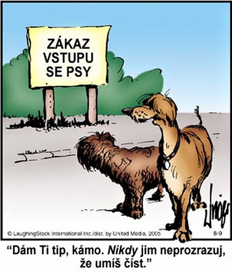 Vtip Nerařazeny