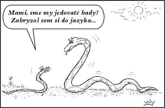 Vtip Nerařazeny