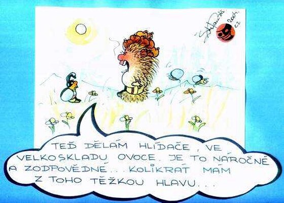 Vtip Nerařazeny
