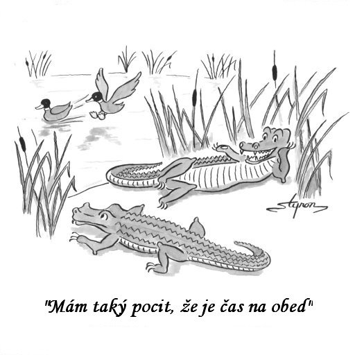 Vtip Nerařazeny