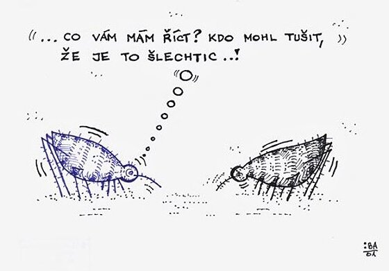 Vtip Nerařazeny