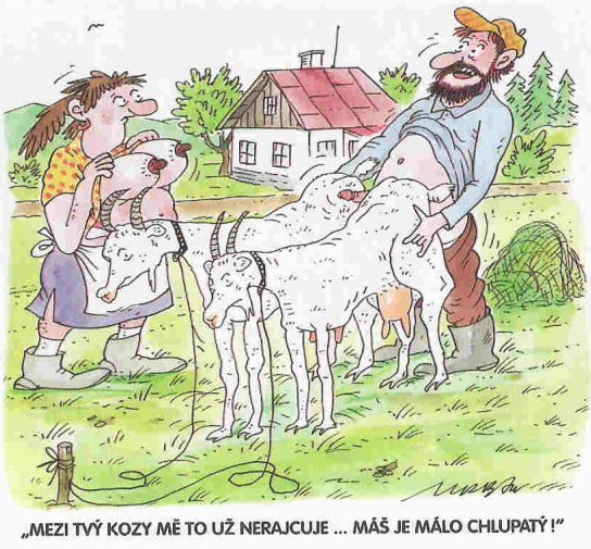 Vtip Nerařazeny