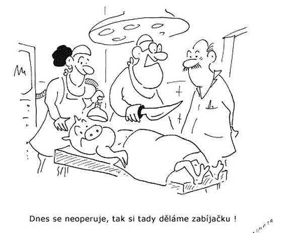 Vtip Nerařazeny