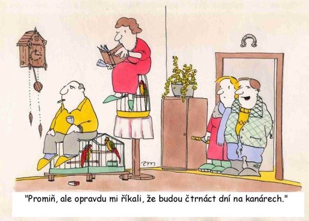 Vtip Nerařazeny