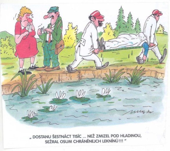 Vtip Nerařazeny