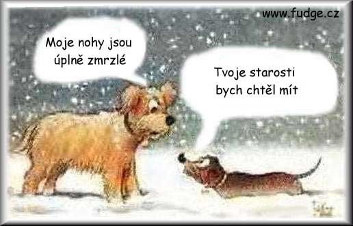 Vtip Nerařazeny