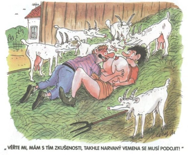 Vtip Nerařazeny