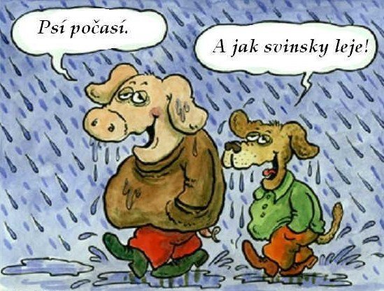 Vtip Nerařazeny