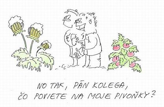 Vtip Nerařazeny