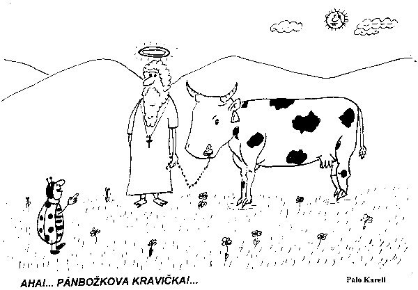 Vtip Nerařazeny