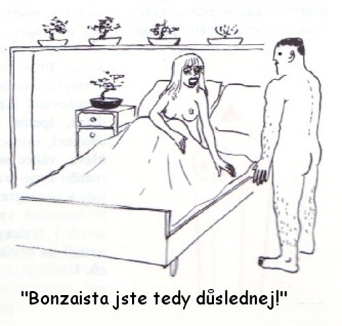 Vtip Nerařazeny
