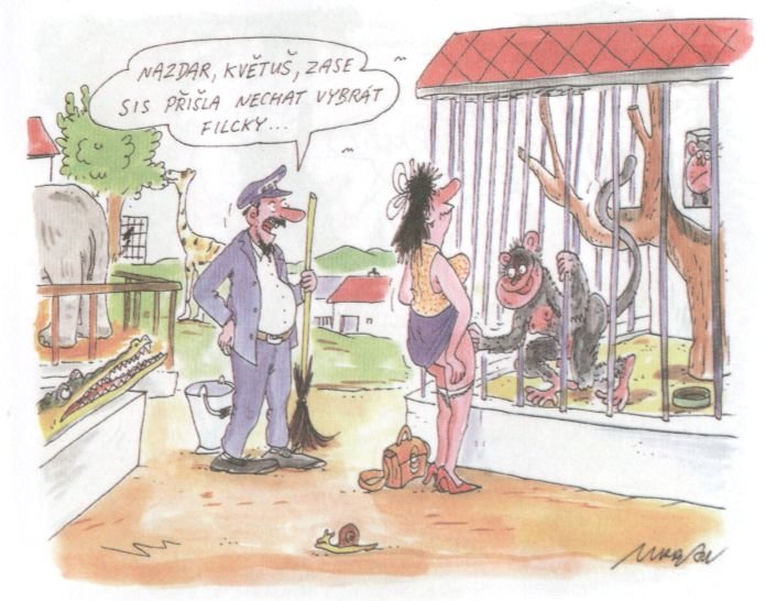 Vtip Nerařazeny