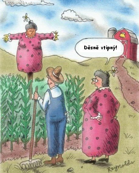Vtip Nerařazeny