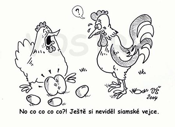 Vtip Nerařazeny