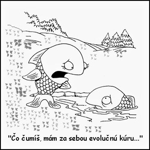 Vtip Nerařazeny