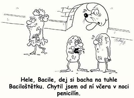 Vtip Nerařazeny