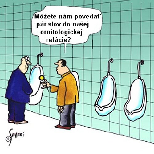 Vtip Nerařazeny