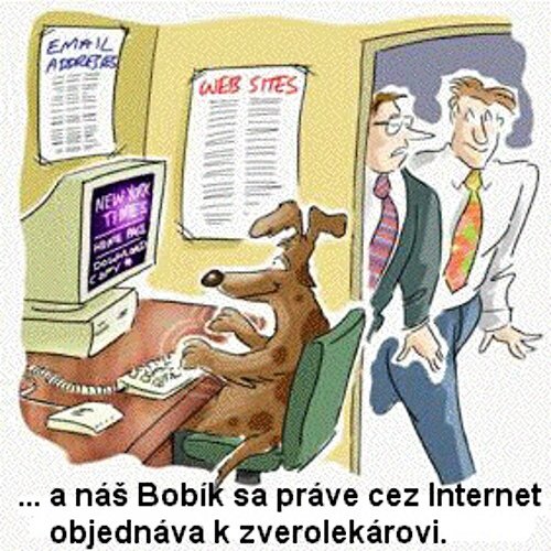 Vtip Nerařazeny