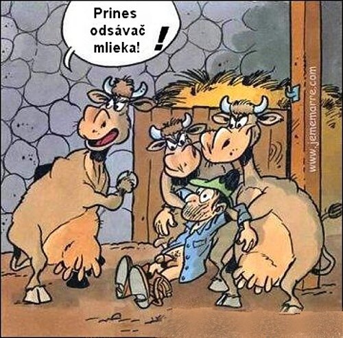 Vtip Nerařazeny
